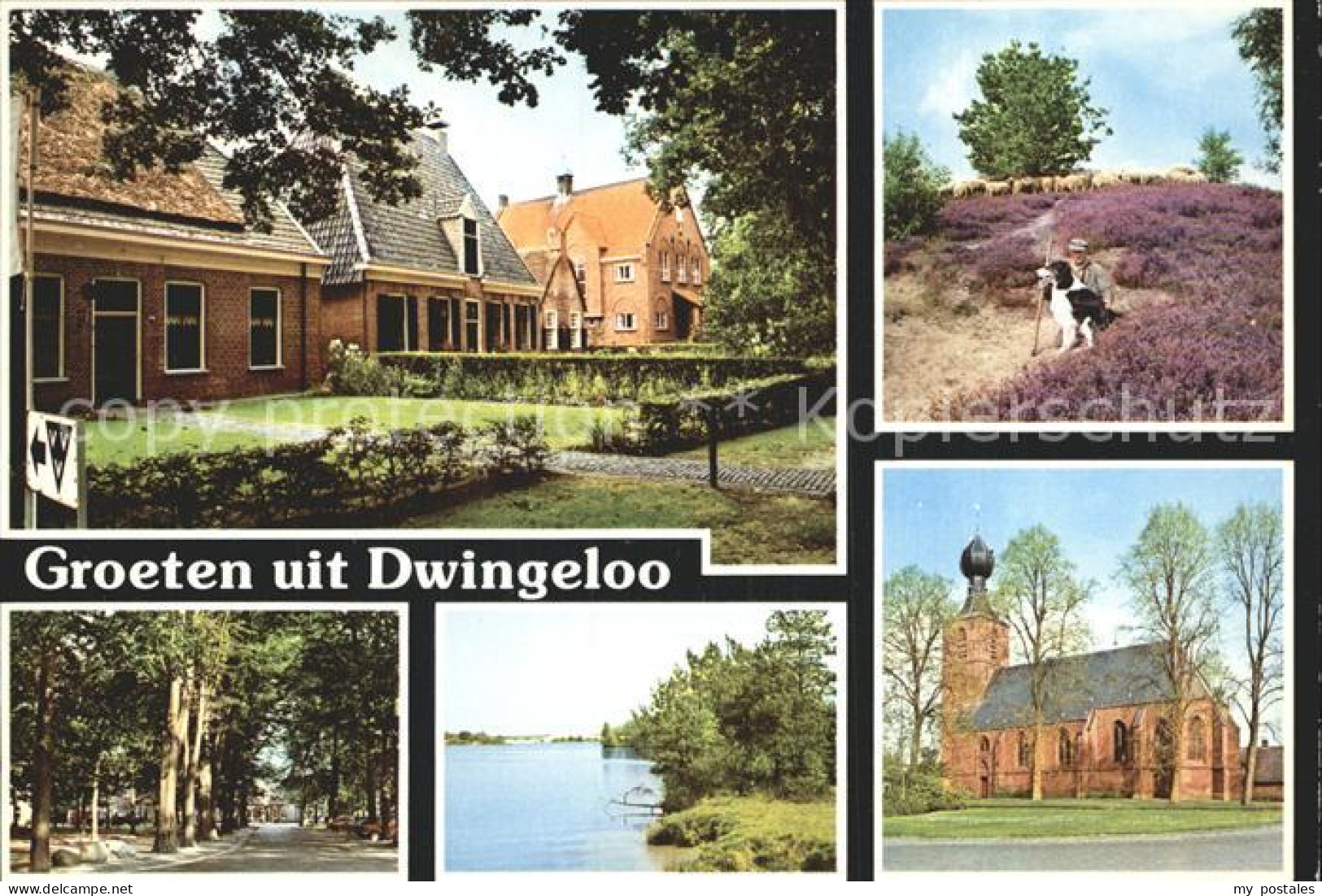 Dwingeloo Heidelandschaft Kirche Haeuser