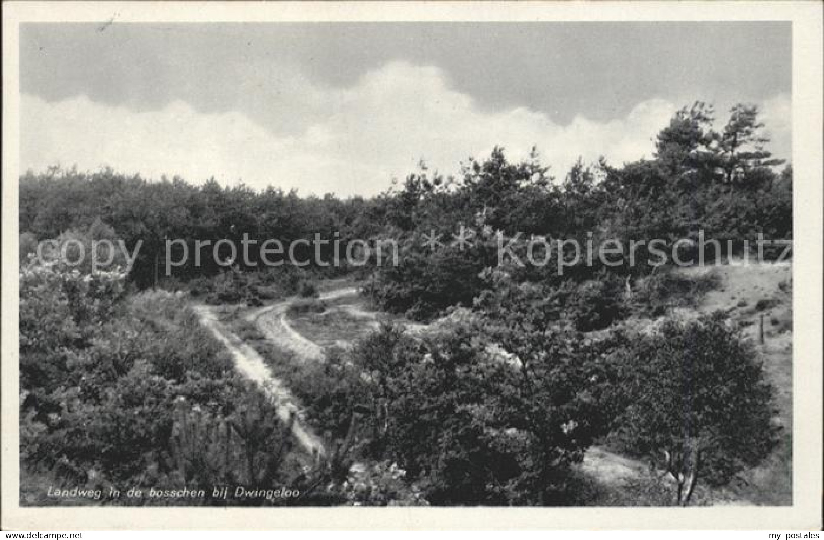 Dwingeloo Landweg in de bosschen Landschaft