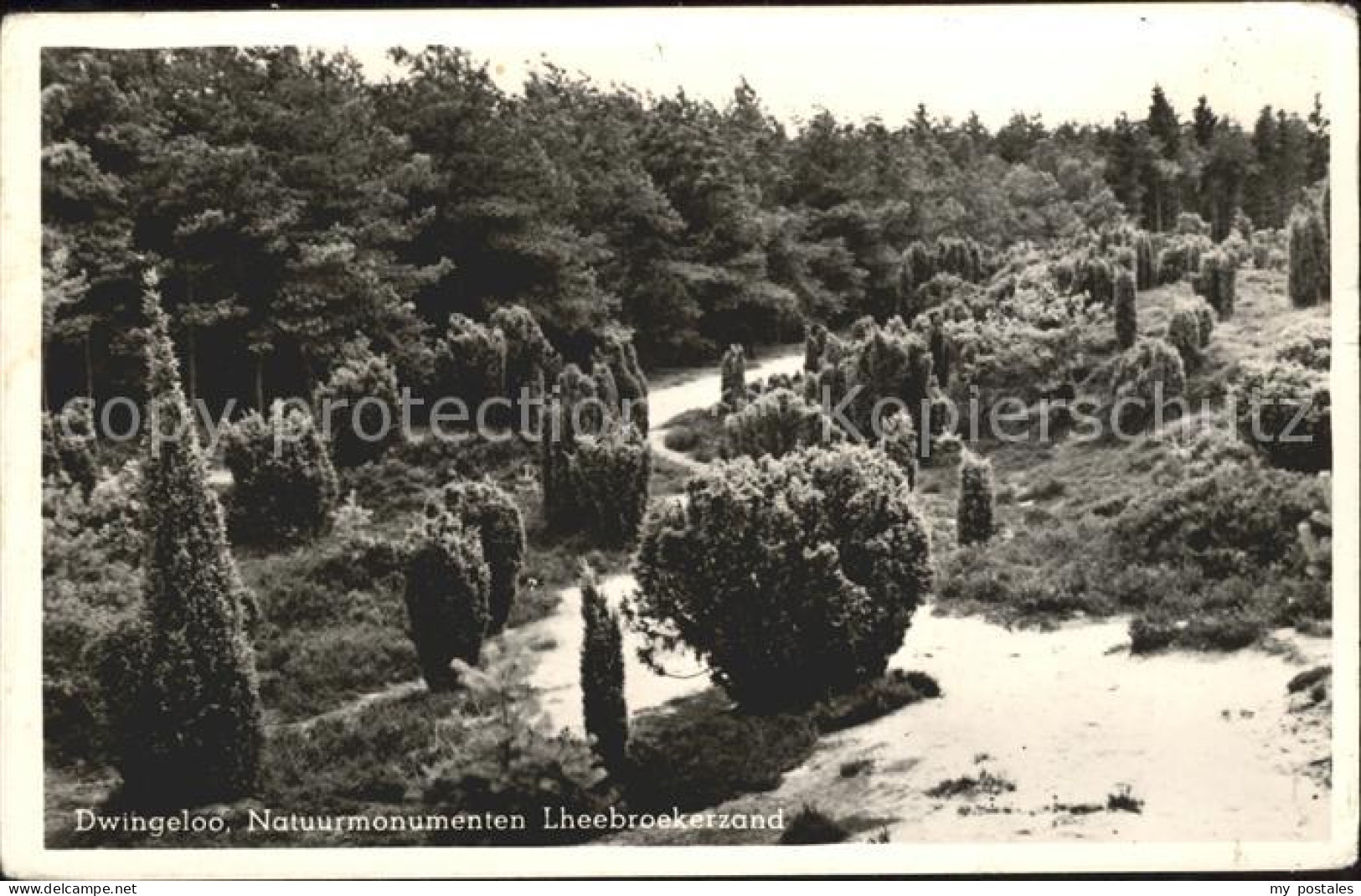Dwingeloo Natuurmonumenten Lheebroekerzand Landschaft
