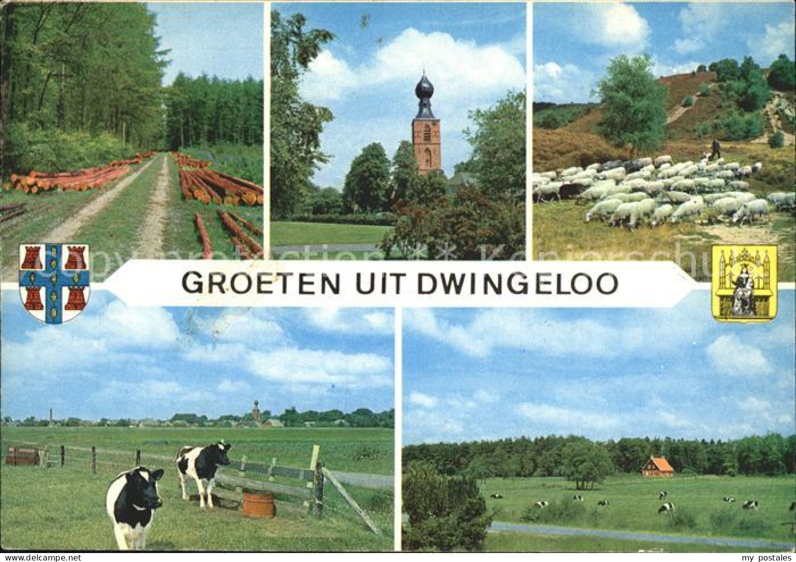 Dwingeloo Waldpartie Kirche Schafe Kuehe Landschaft