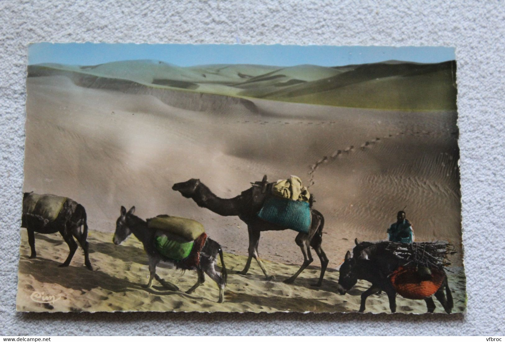E875, scènes et types du Maroc, dans les dunes, Maroc