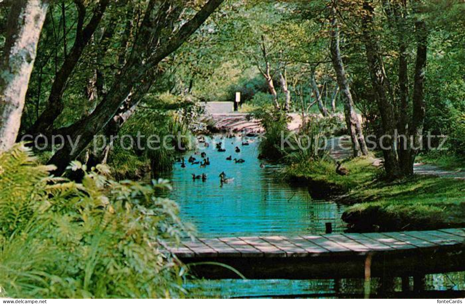 East Hampton New York Nature Trail