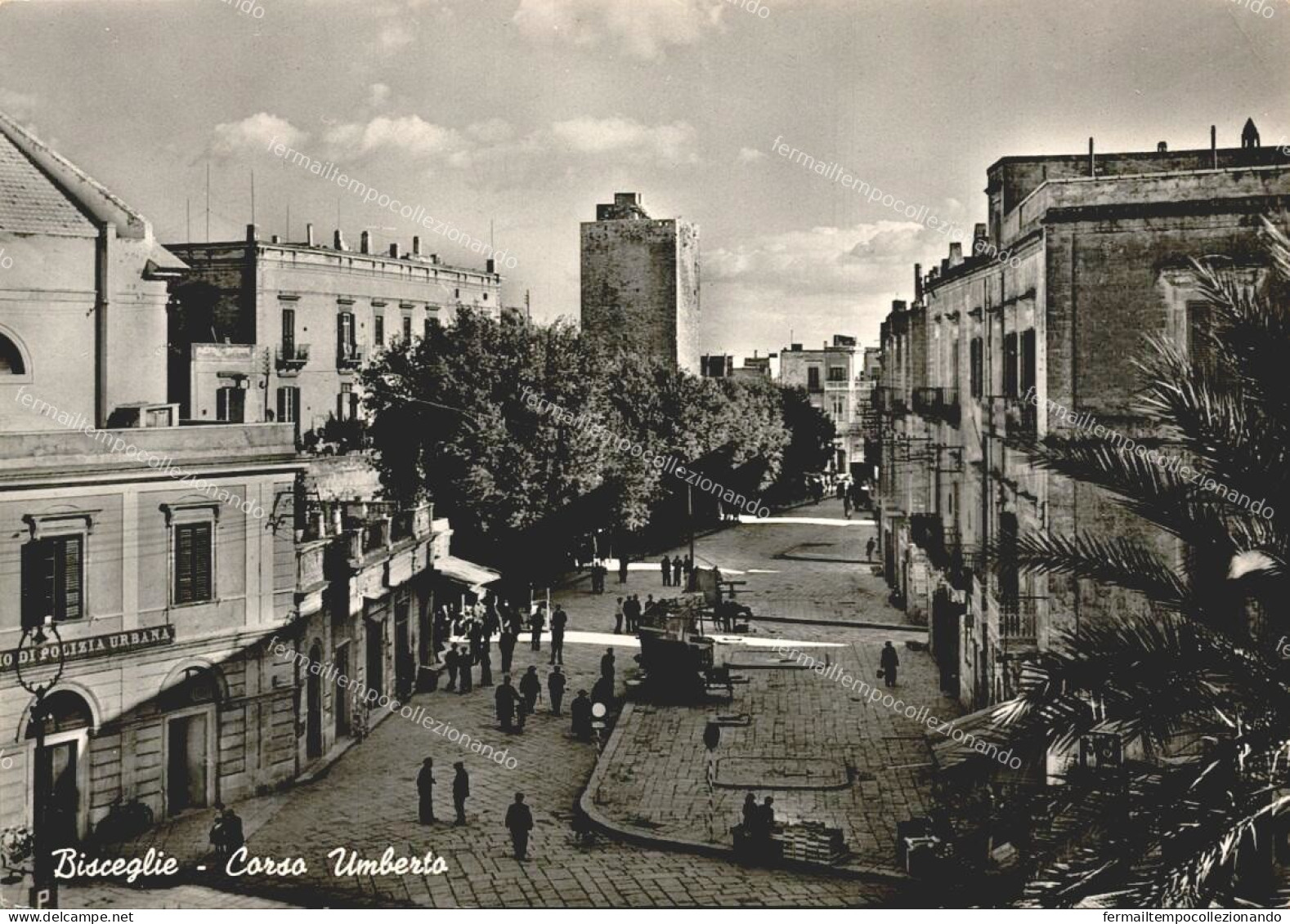 eb44 cartolina bisceglie corso umberto provincia di bari