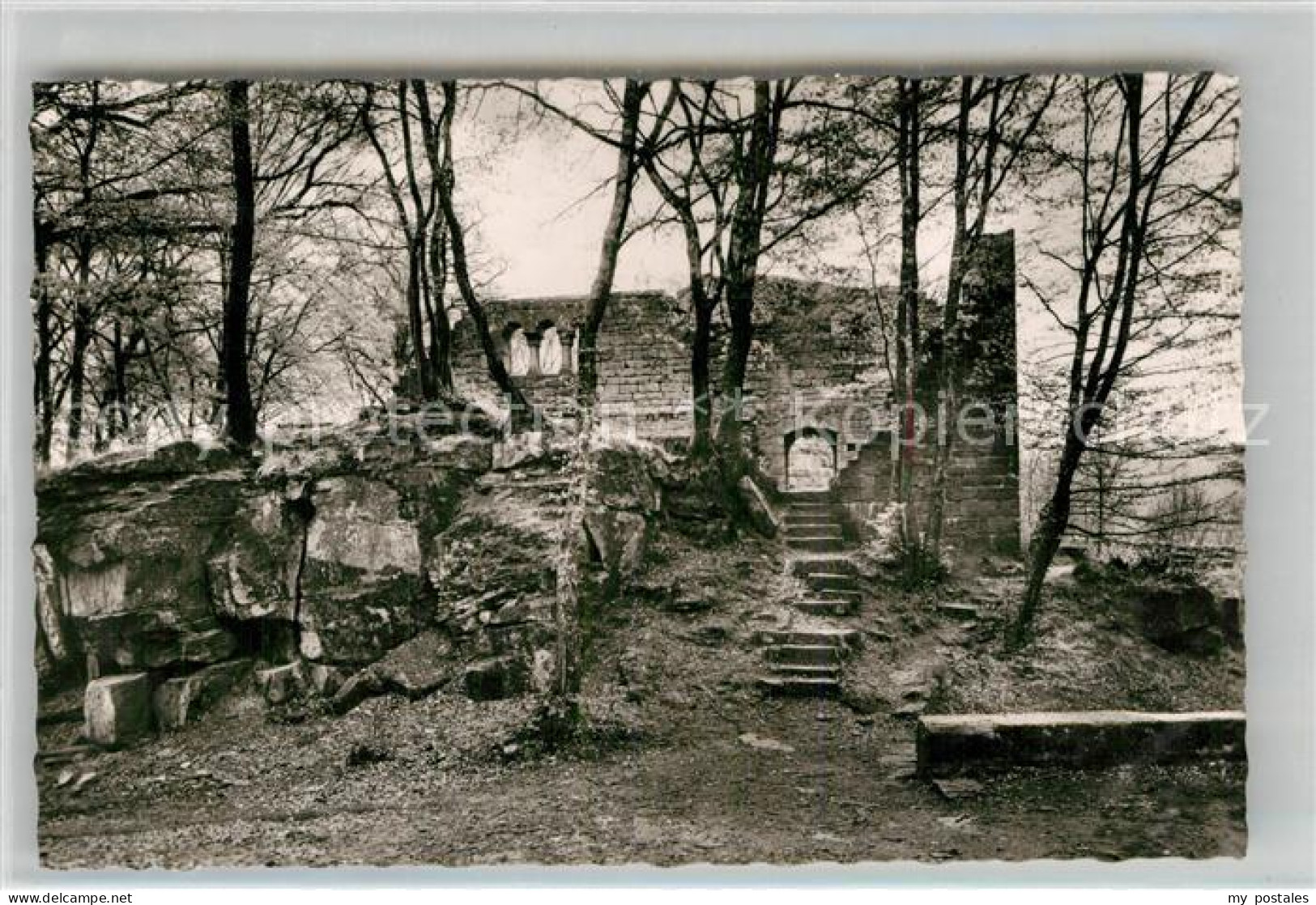 Eberbach Neckar Burg Eberbach Ruine