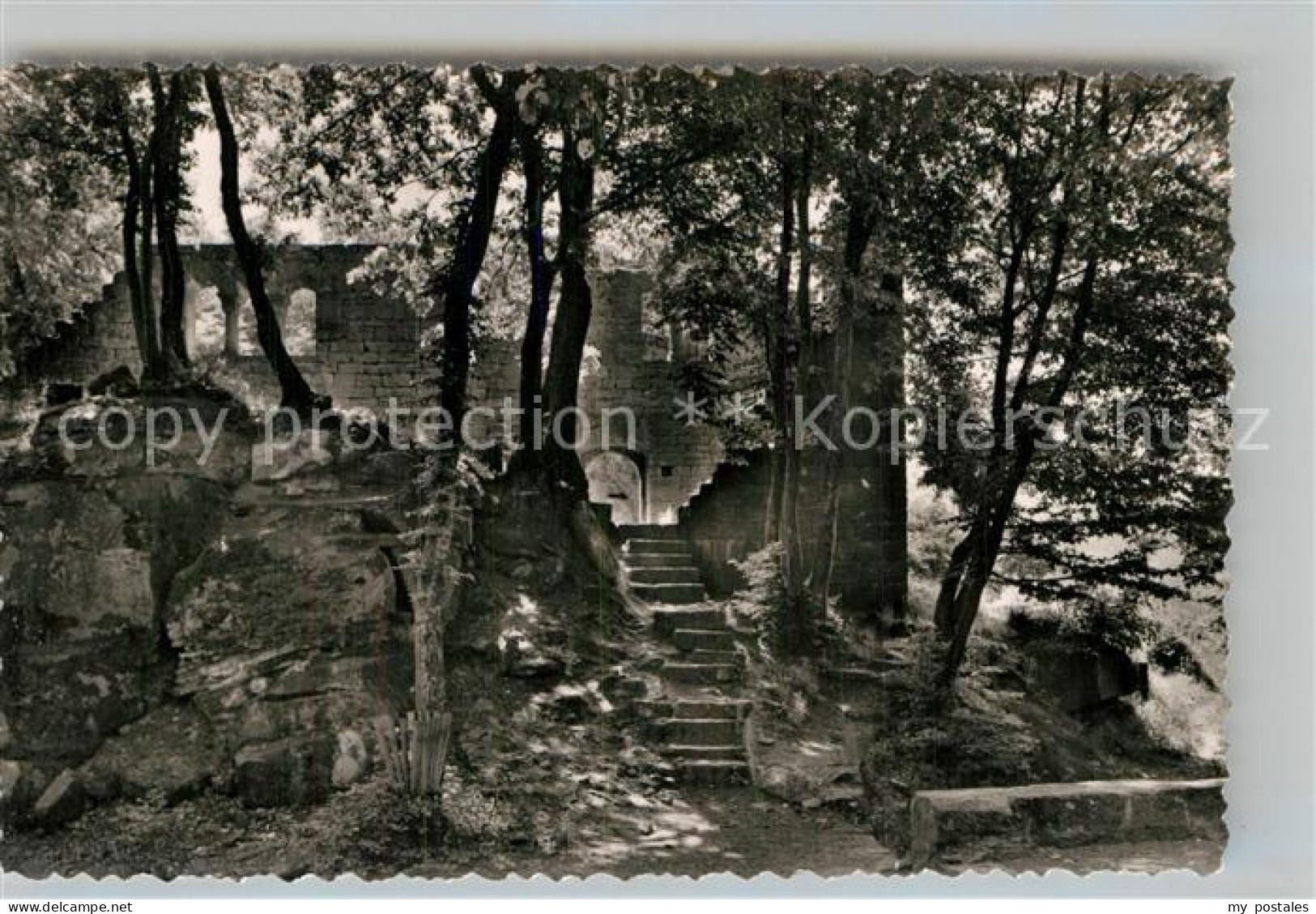 Eberbach Neckar Hohenstaufenburg