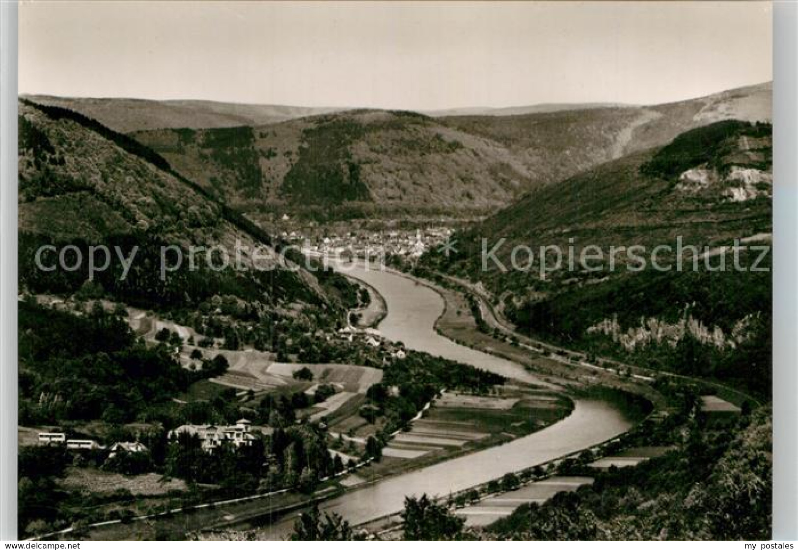 Eberbach Neckar Panorama