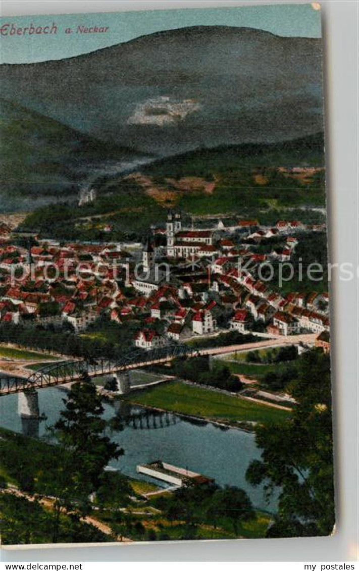 Eberbach Neckar Panorama