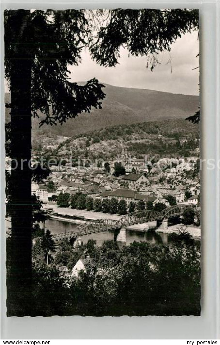 Eberbach Neckar Panorama