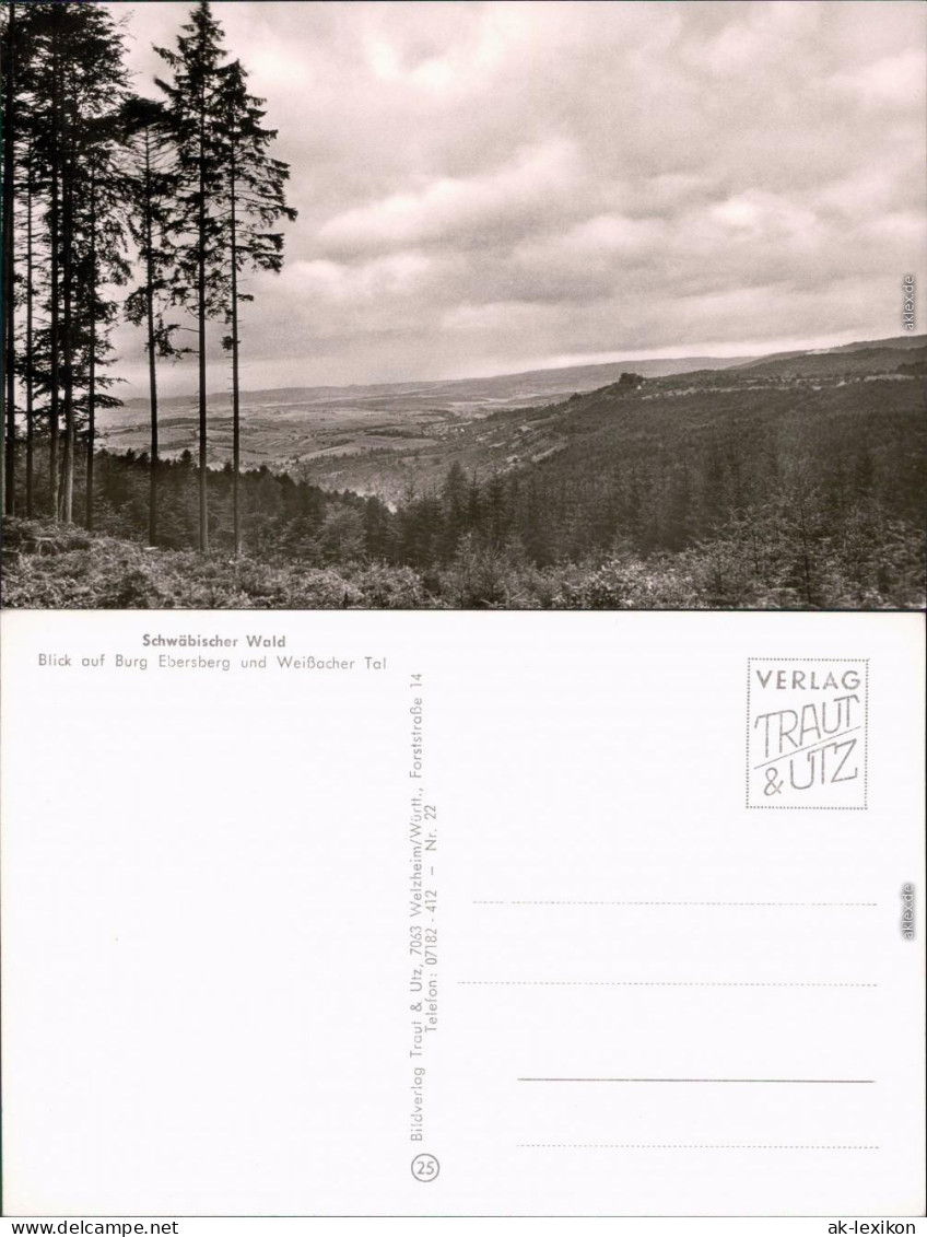 Ebersberg Blick auf die Burg Ebersberg und Weißacher Tal - Weitblick 1965