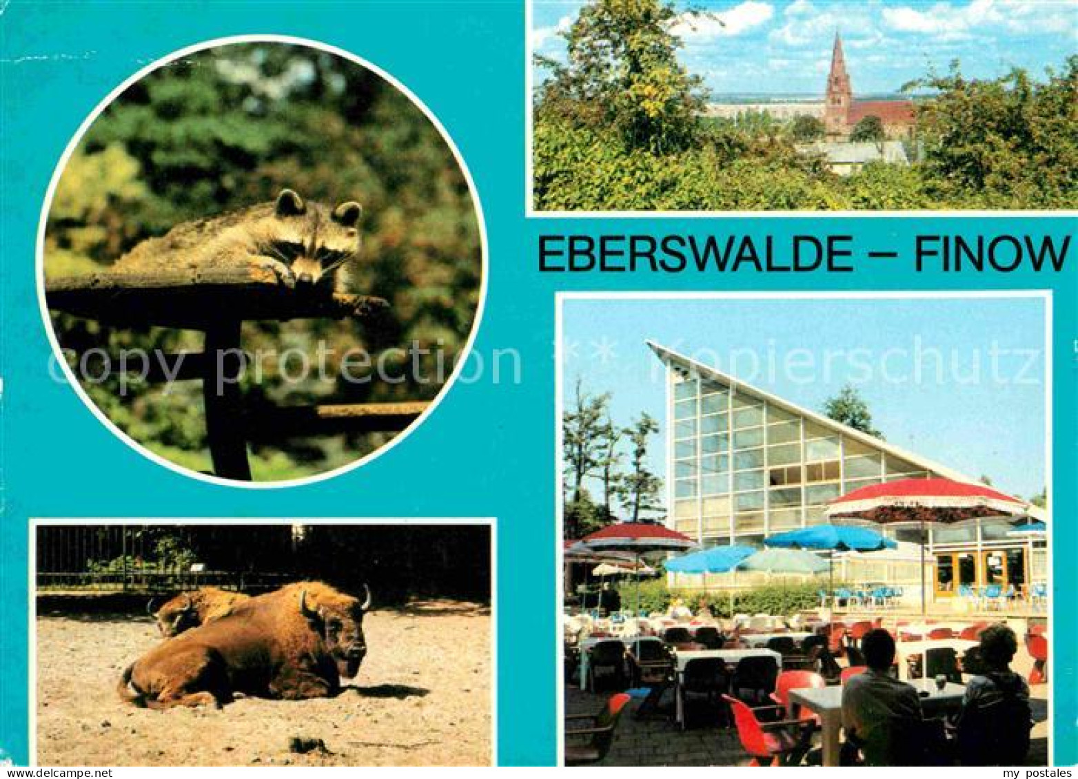 Eberswalde Finow Tierpark