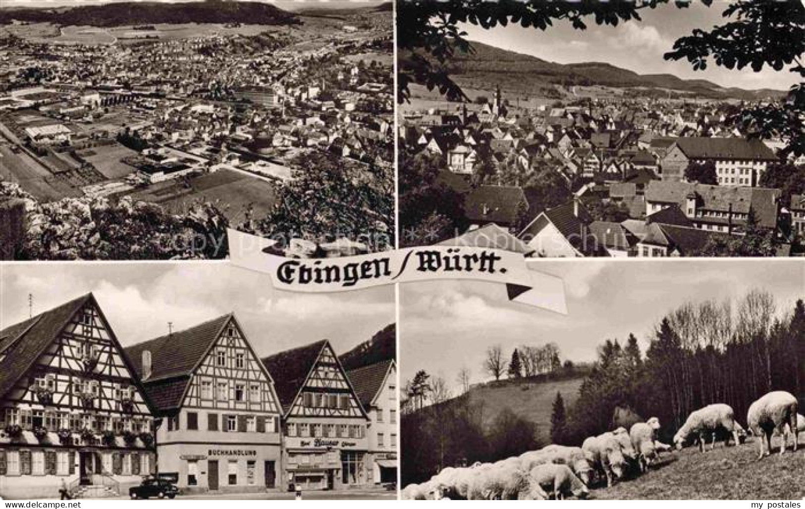 Ebingen Albstadt BW Fliegeraufnahme Panorama Fachwerkhaeuser Schafherde