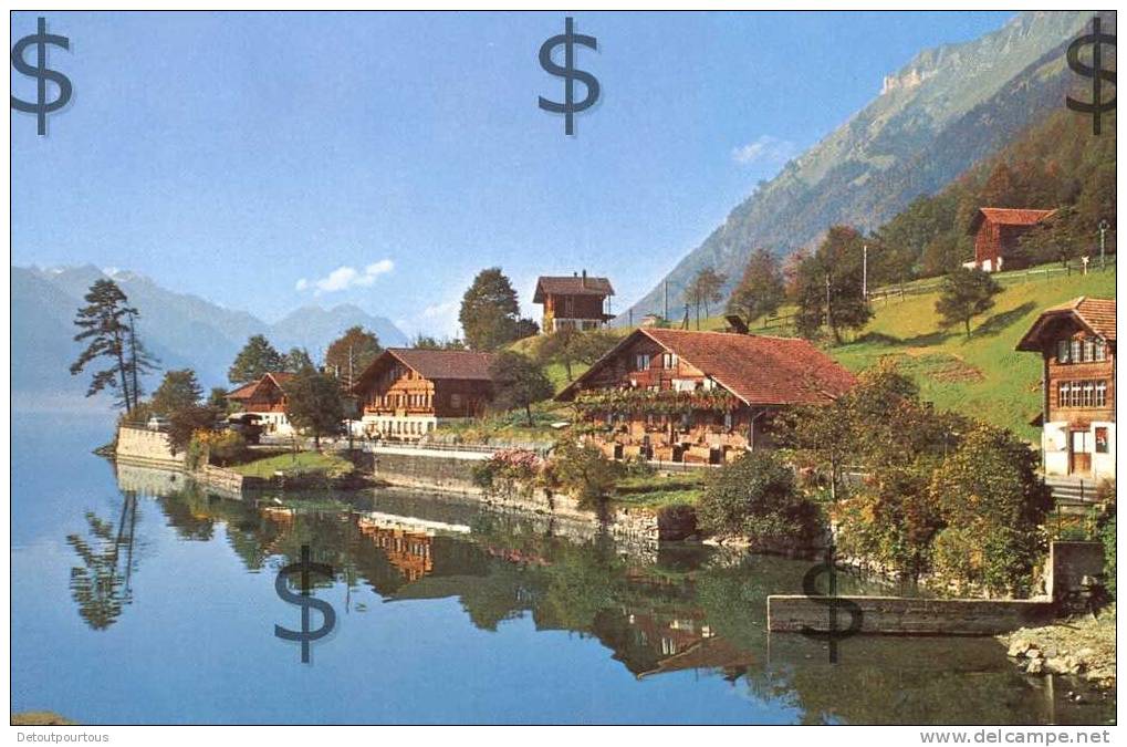 EBLINGEN am BRIENZERSEE BEI BRIENZ : chalets au bord du lac