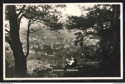 AK Echternach, Panorama der Stadt von einem Aussichtspunkt über der Stadt
