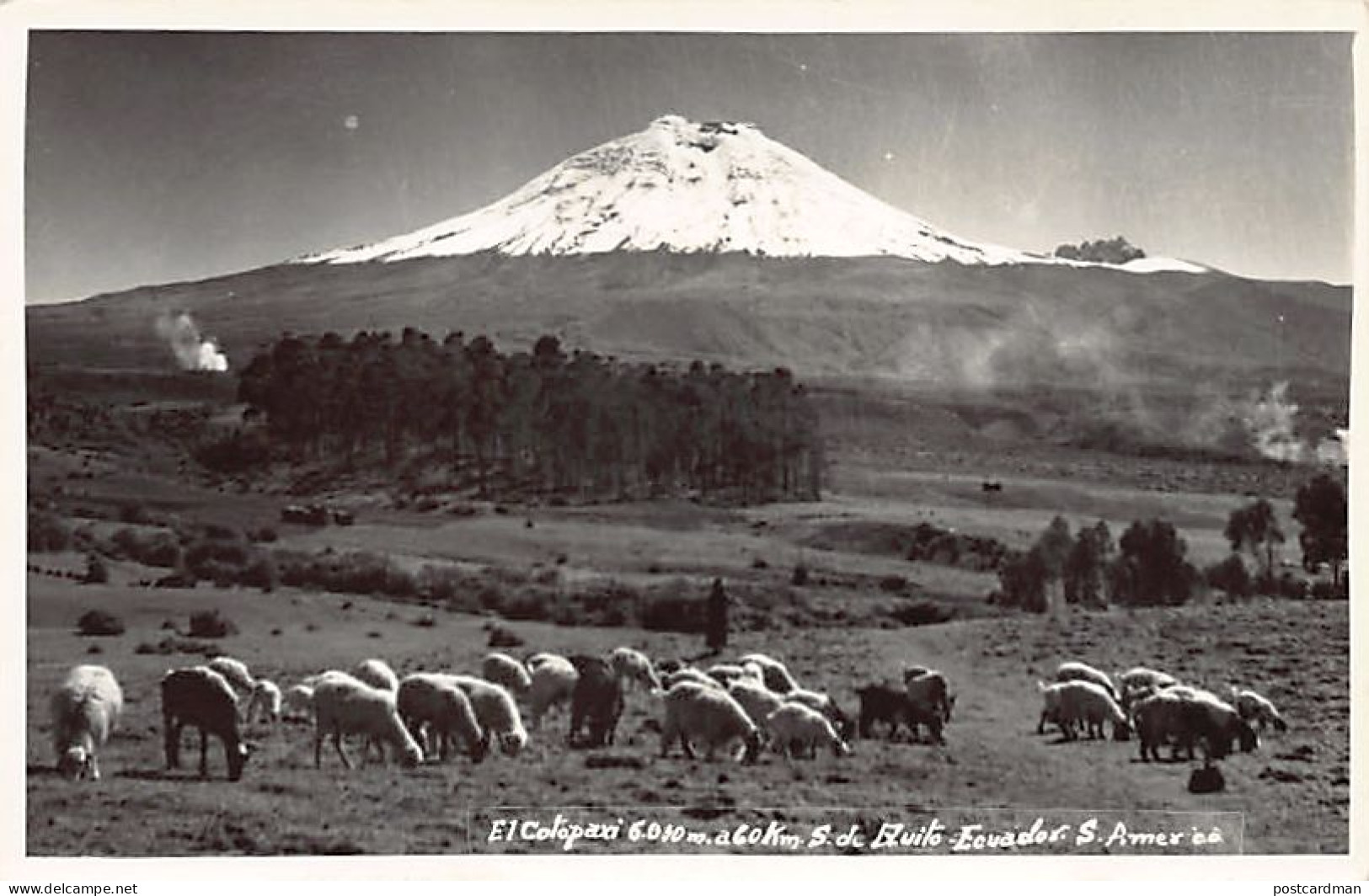 Ecuador - El Cotopan - POSTAL FOTO - Ed. desconocido