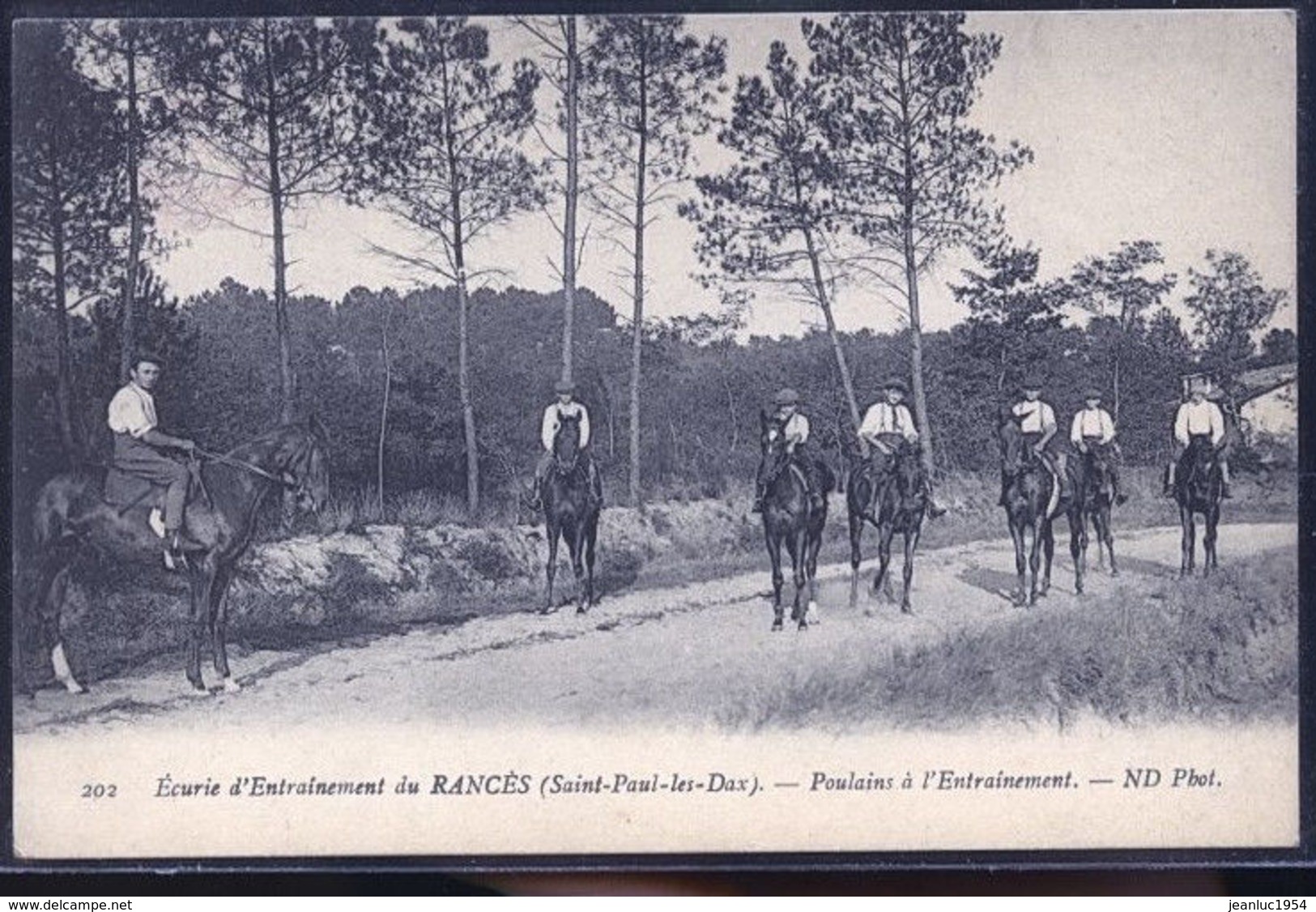 ECURIES D ENTRAINEMENT DES POULAINS RANCES