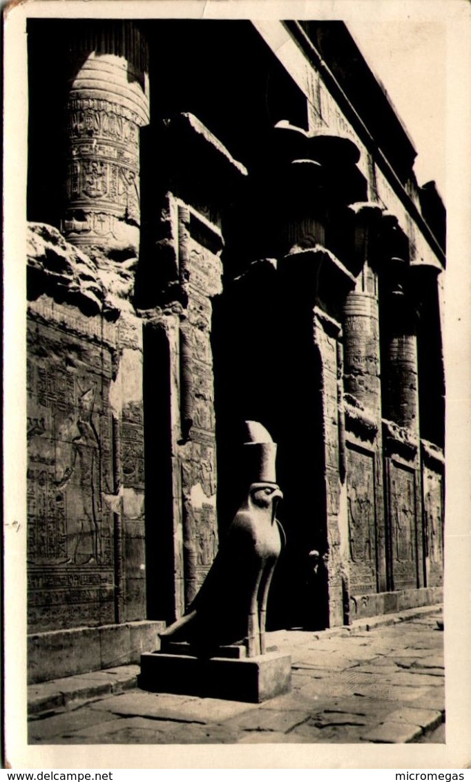 EDFU - The Sacred Hawk