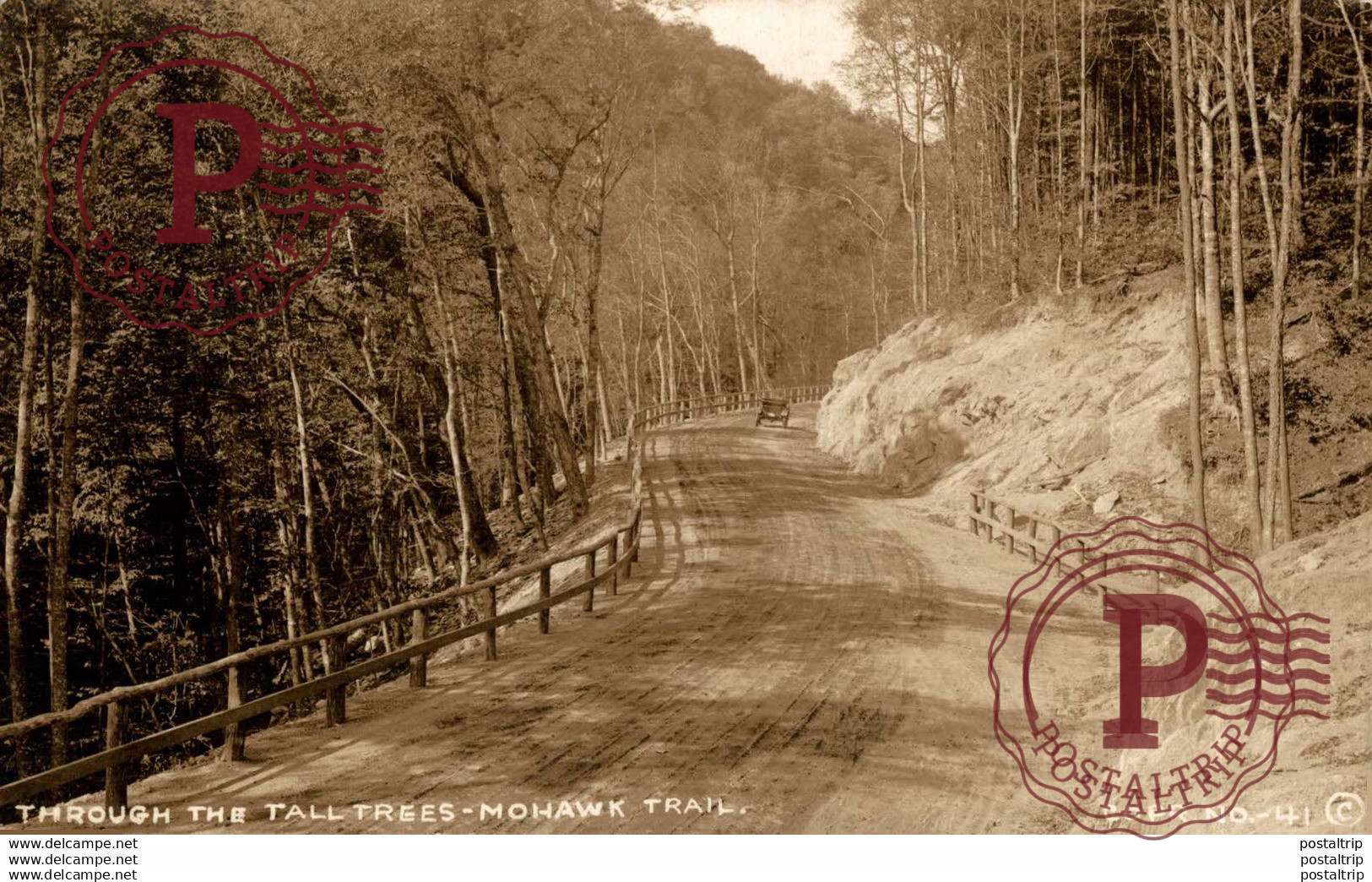 EEUU // USA. THROUGH THE TALL TREES MOHAWK TRAIL. - REAL PHOTO