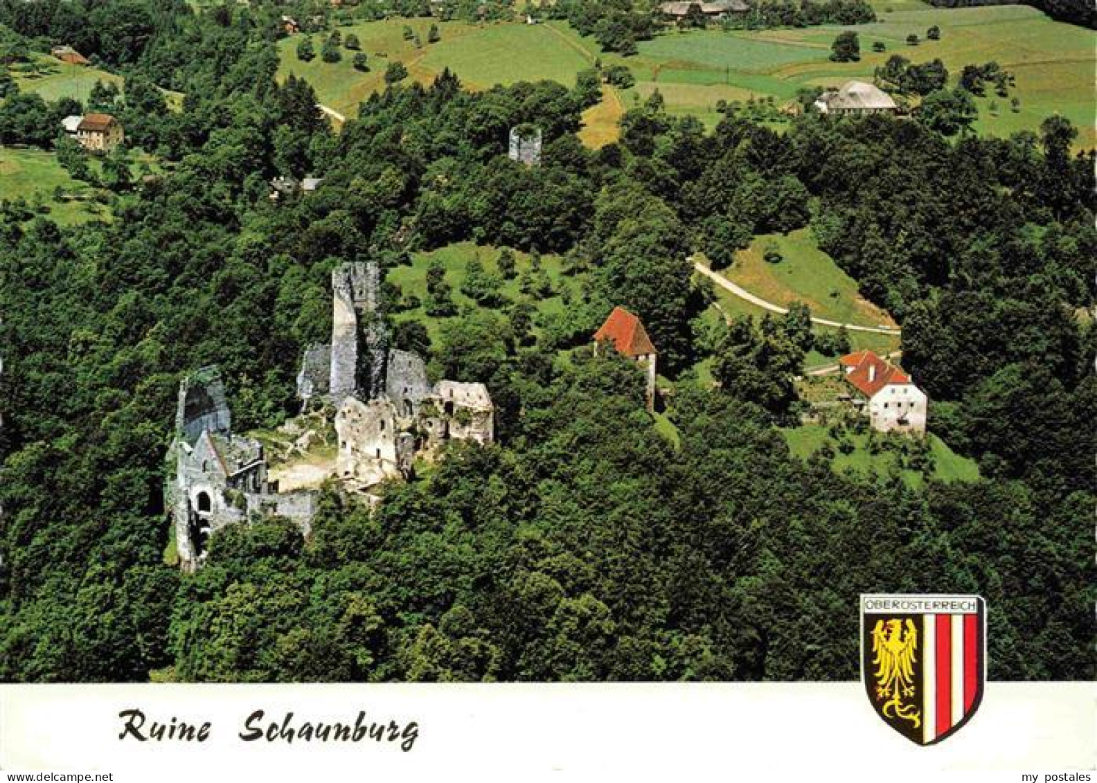 Eferding Oberoesterreich AT Ruine Schaunburg Fliegeraufnahme