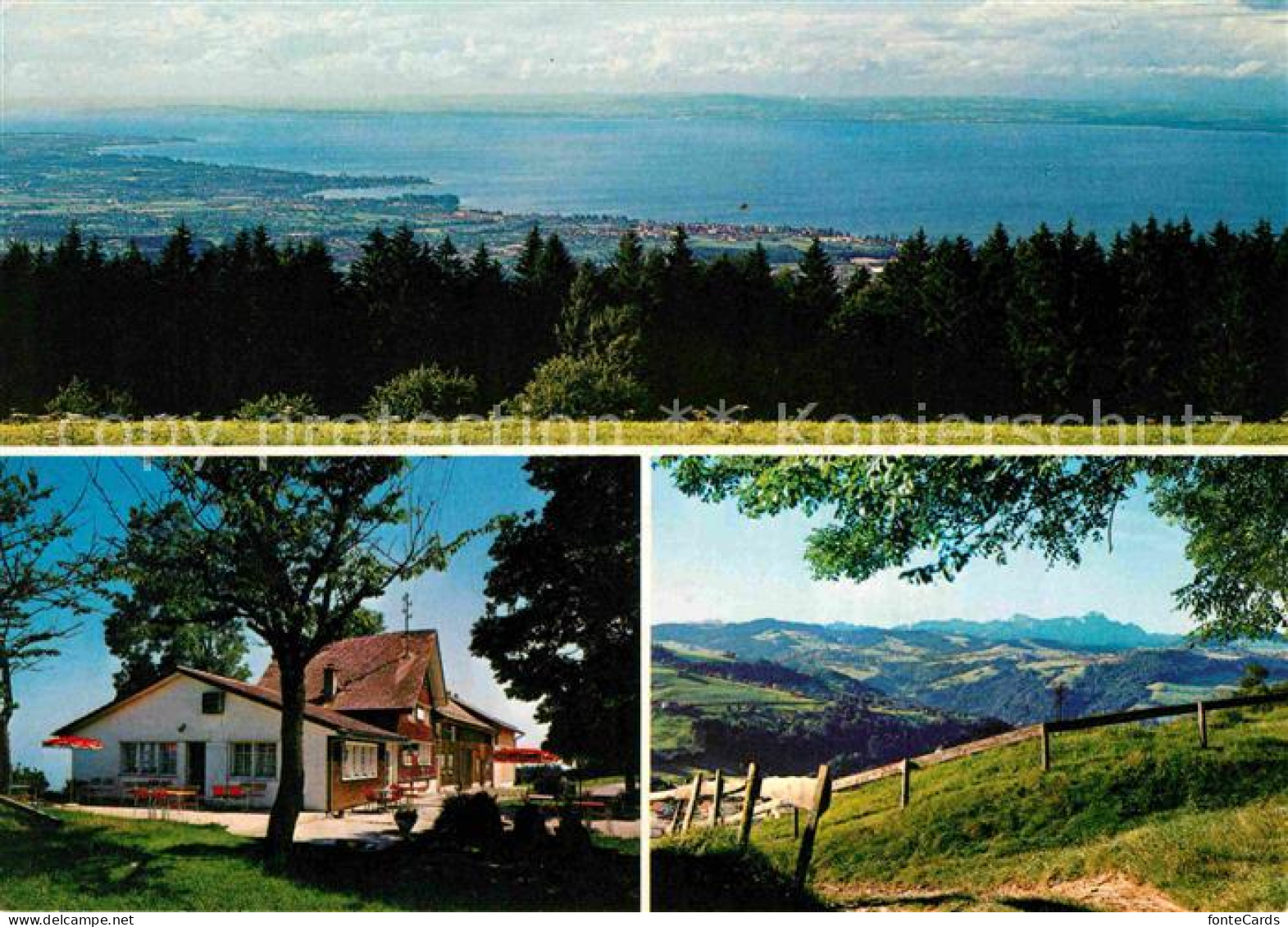 Eggersriet Restaurant zur Hoehe Panorama