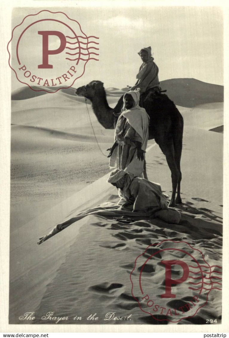 EGIPTO. Egypt. Egypte. RPPC. PRAYER IN THE DESERT. FOTOGRAFICA. Lehnert & Landrock