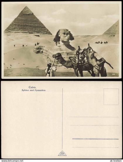 Kairo القاهرة Sphinx und Pyramiden; Einheimischer mit Kamel 1920