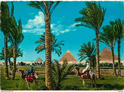 Carte Postale - Egypte - Giza - the giza pyramids die giza pyramiden - CPM - Voir Scans Recto-Verso