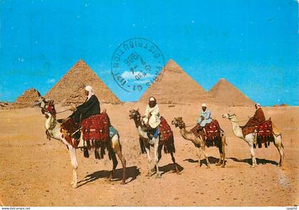 CPM Giza