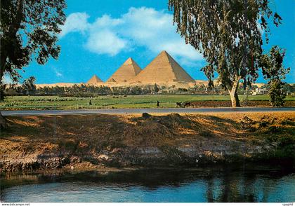 CPM Giza Les Pyramides