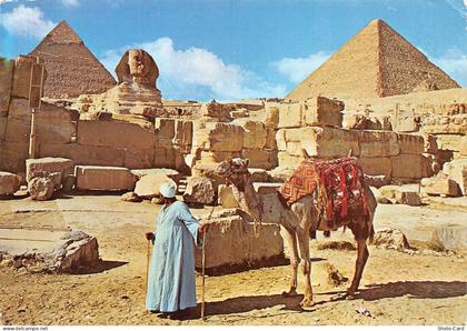 EGYPT GIZA