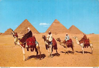 EGYPT GIZA