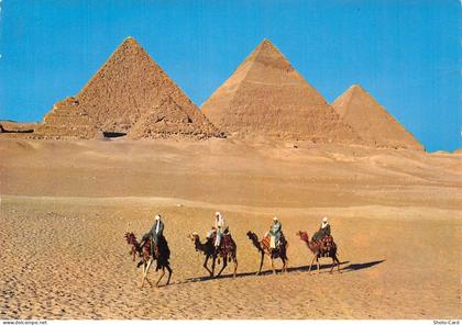 EGYPT GIZA