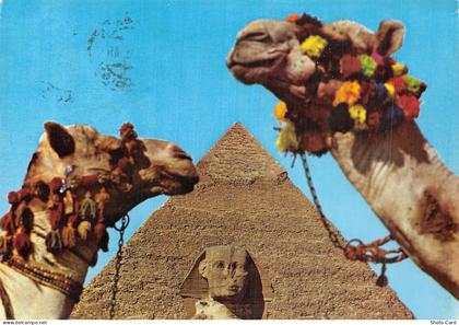 EGYPT GIZA