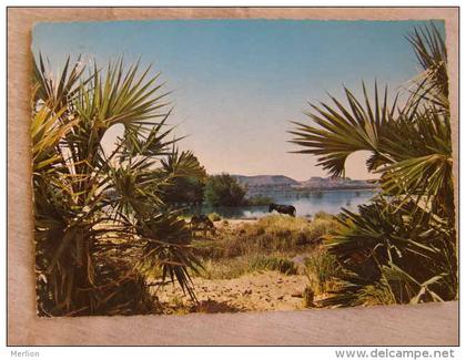 Egypt - Nubia Nubie    D109716