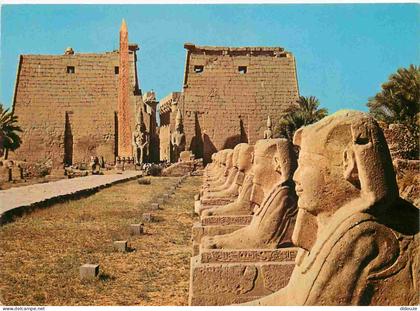 Carte Postale - Egypte - Luxor - Sphinxes avenue at Luxor Temple Avenue des Sphinxes au Temple de Luxor Sphinxallee beim