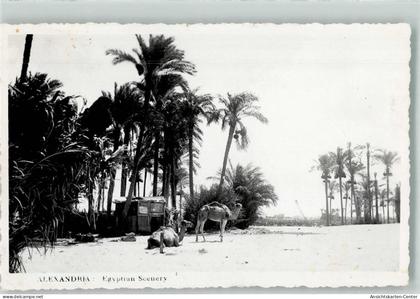 39538348 - Alexandria