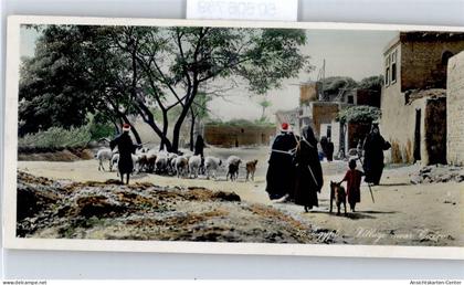 50606789 - Kairo Cairo