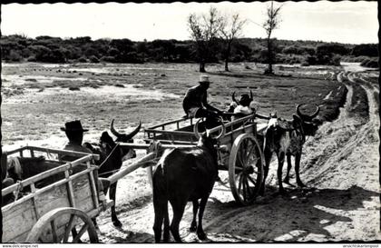 CPA Madagaskar, Ochsenkarren