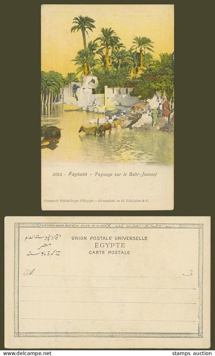 Egypt Old UB Postcard Fayoum, Paysage sur le Bahr-Joussef, Landscape River Scene