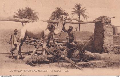 EGYPTE(TYPE)