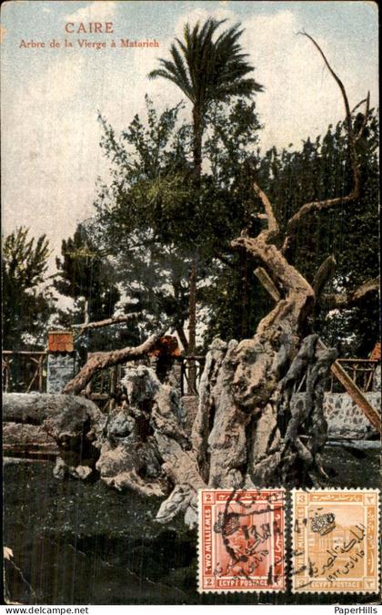 Afrika Africa - Egypte - Caïre Caïro