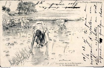 Artiste CPA Madagaskar, Reisernte