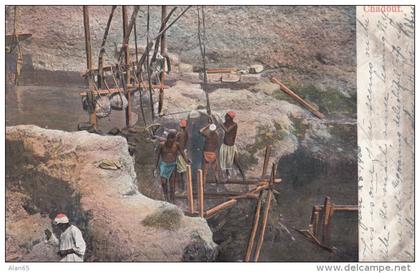 Egypt, Natives Move Water with Chadouf, Machinery, c1900s Vintage Postcard
