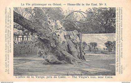 Egypt - EL MATAREYA Cairo - Tree of the Virgin Mary - Publ. Home-life in the East 3