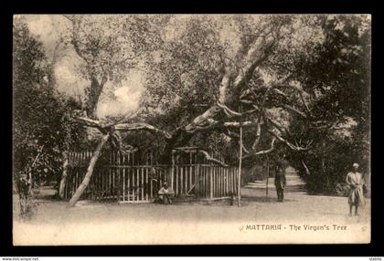 EGYPTE - MATARIYYA - MATTARIA - THE VIRGEN'S TREE