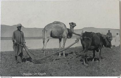 Egypte - Blanteur en Egypte - Carte postale vierge