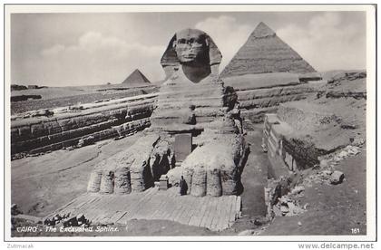 Cairo - the Excavated Sphinx