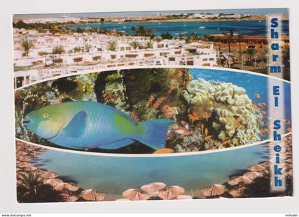 PR908 - EGYPTE - Sharm el Sheikh