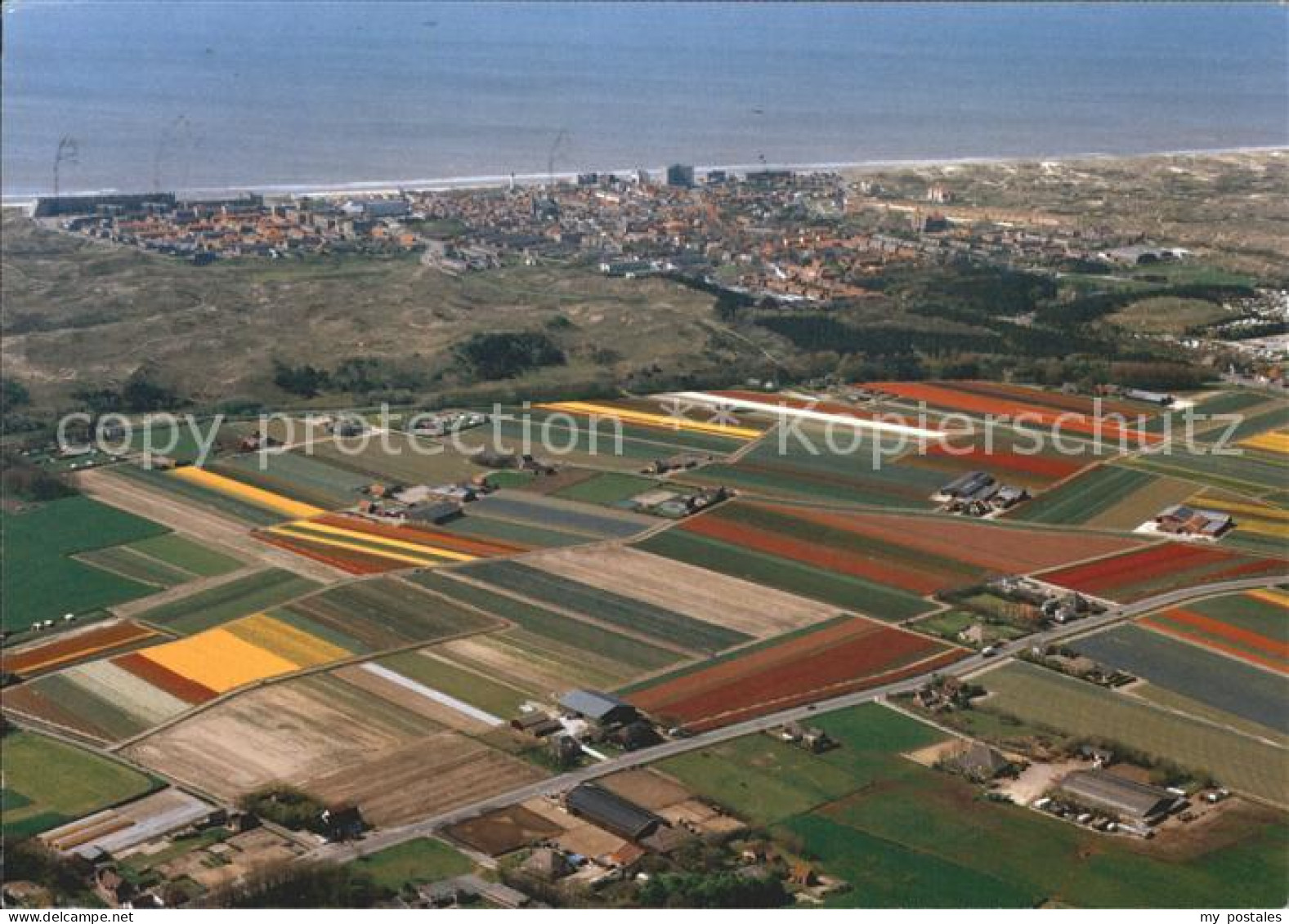 Egmond aan Zee Fliegeraufnahme