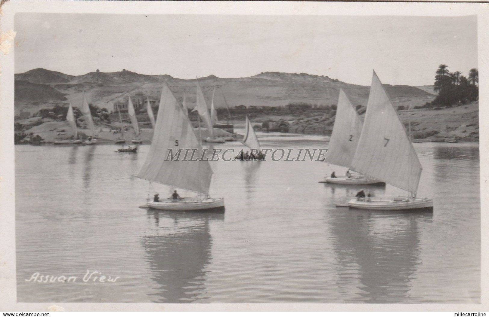EGYPT - Assuan View - Photo Postcard
