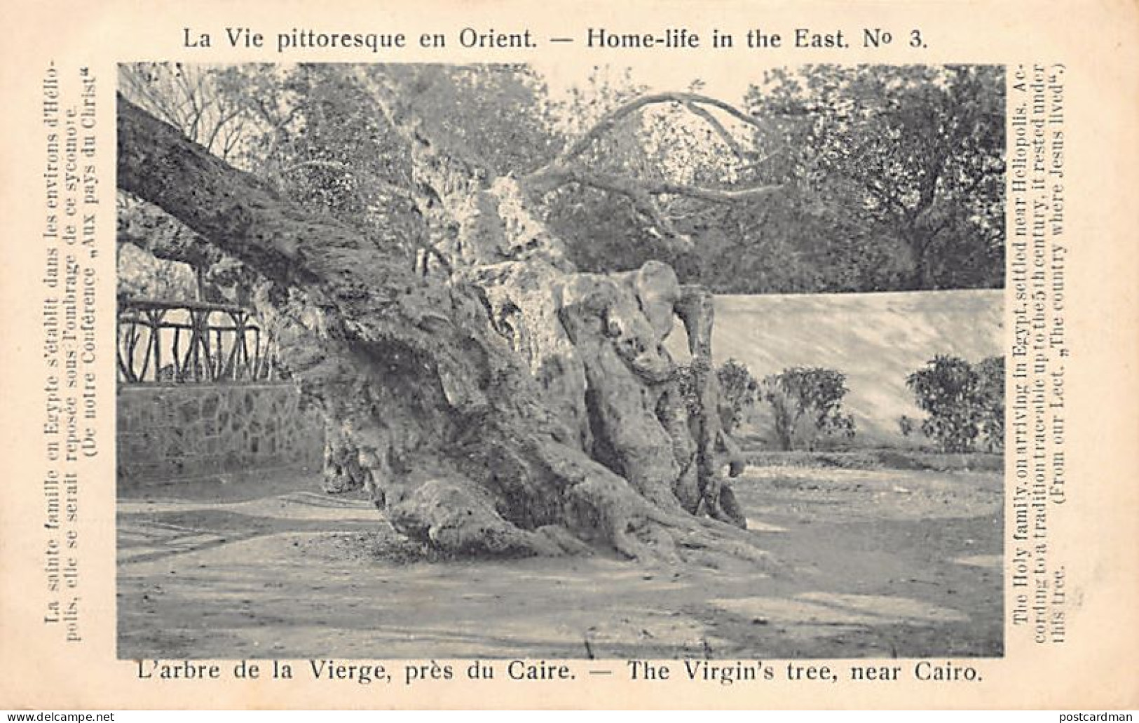 Egypt - EL MATAREYA Cairo - Tree of the Virgin Mary - Publ. Home-life in the East 3
